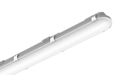 Poly-Plus S Thumbnail Image
